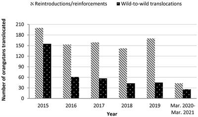 Disease Risk and Conservation Implications of Orangutan Translocations